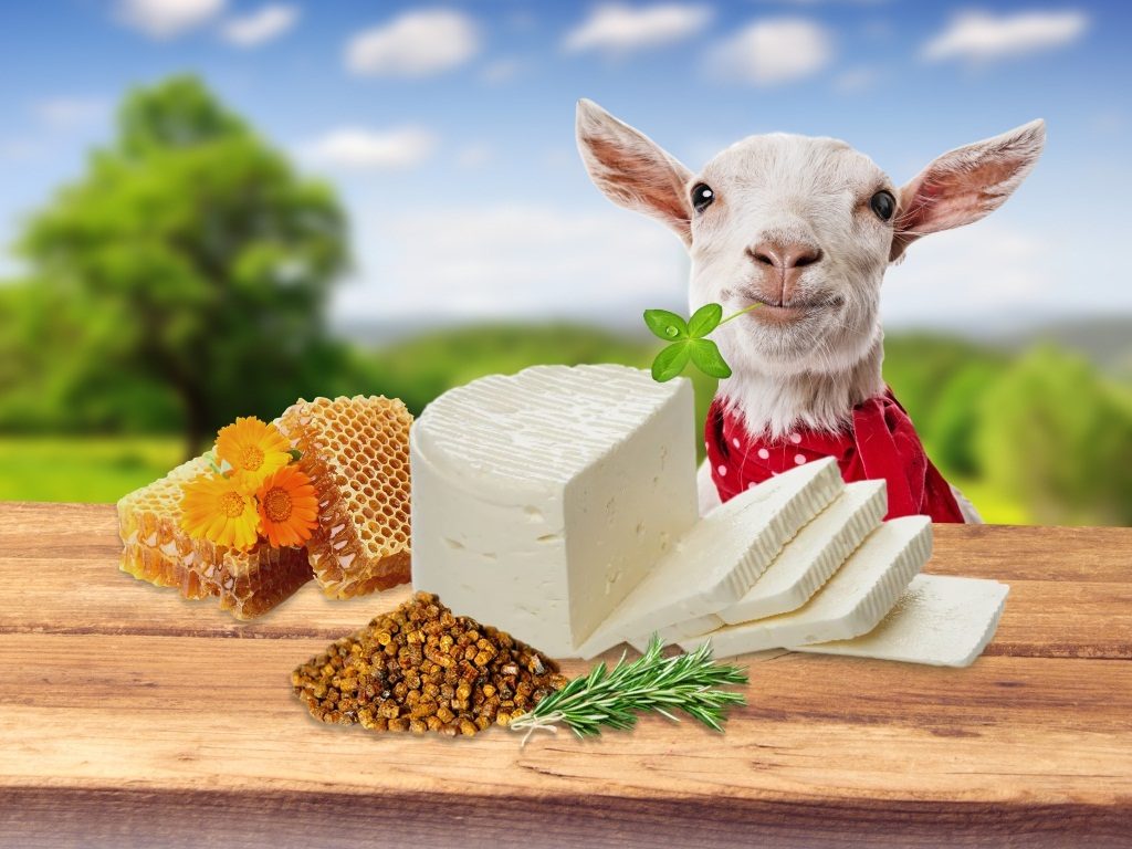 Фермерский сыр ТЕНТОРИУМ® соответствует требованиям безопасности и качества