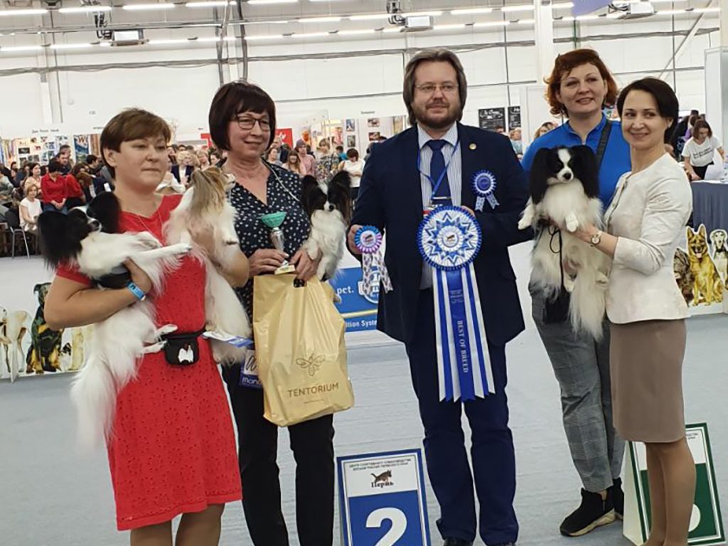 Хвостатые чемпионы: ТЕНТОРИУМ® наградил победителей международной выставки собак