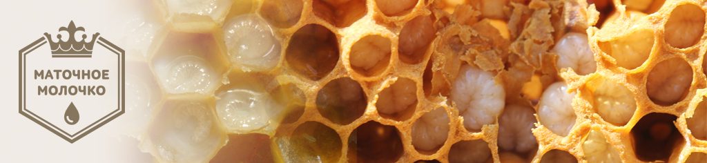 Созданные пчелой: научные открытия компании ТЕНТОРИУМ®