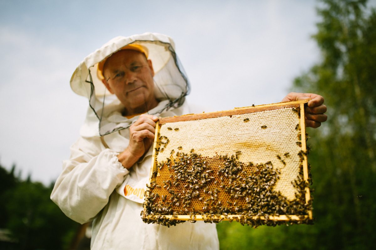 Круглый стол в Совете Федерации: ТЕНТОРИУМ® предложил меры по поддержке российских пчеловодов
