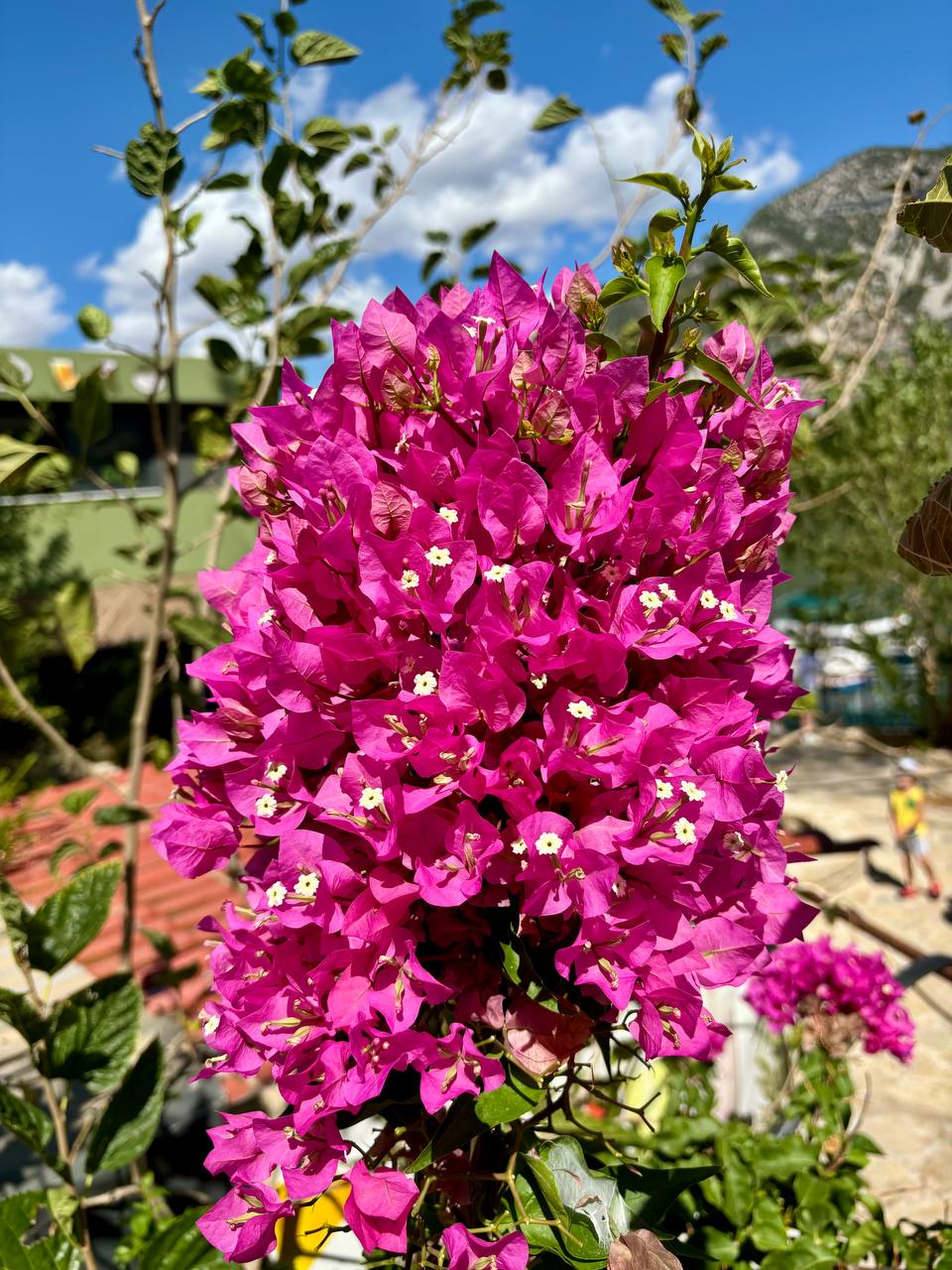 Аватар пользователя