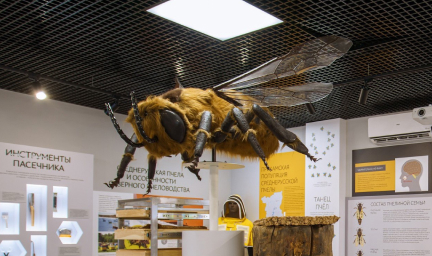 Экскурсия на завод Тенториум Руланд с посещением Музея северного пчеловодства и компании