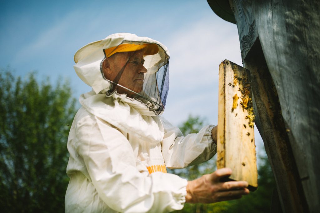 Как собирается «правильный» мёд? Репортаж с пасеки ТЕНТОРИУМ® «Медвежья поляна»