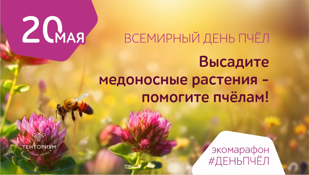Стартует традиционный экомарафон «Высади медонос – помоги пчёлам»