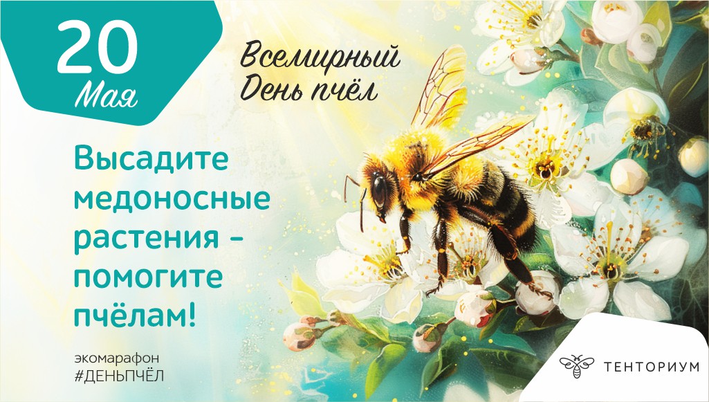 Участвуйте в экомарафоне «Высади медонос – помоги пчёлам» и получайте подарки от компании «Тенториум» за свою активность!
