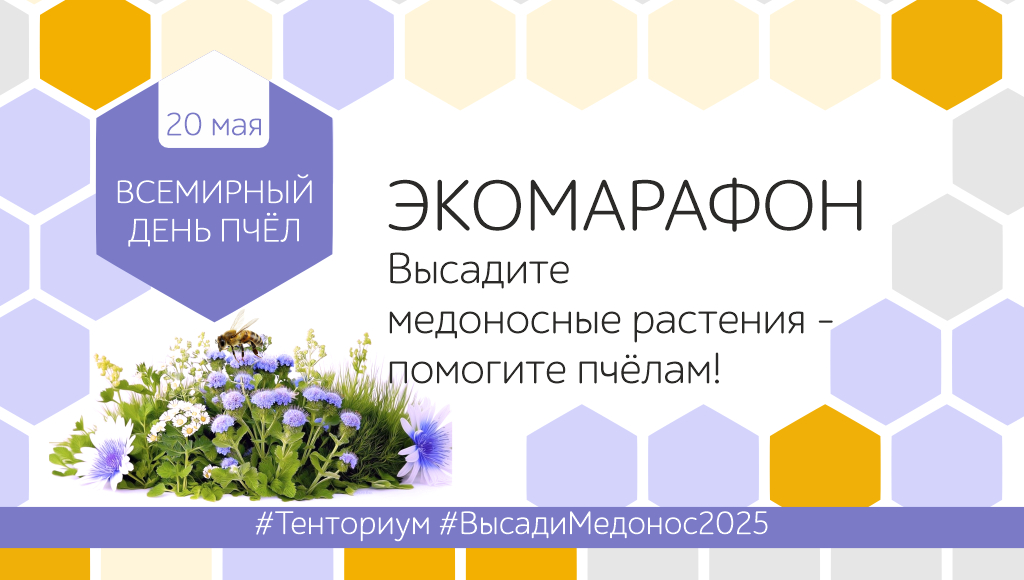 Май – месяц добрых дел для пчёл и планеты!